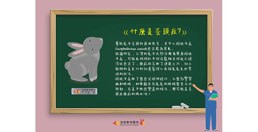 逗號動物醫院,洪褒的顛倒世界,腦孢子蟲